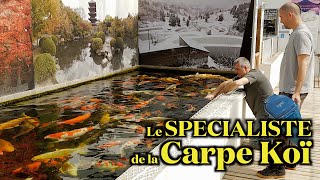 Les Carpes Koï de chez AZUR BASSIN (Floraquatic)