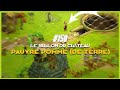 Ref:zpNNQGuAZC8 Dofus aventure suivie #150 le vallon du ch�teau pauvre pomme (de terre)