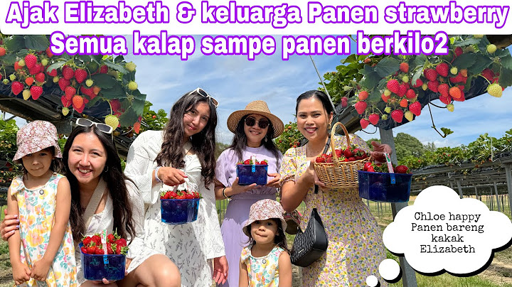 STRAWBERRY HARVEST WITH ELIZABETH & FAMILY || UNTIL THEY GOT KILOS OF HARVEST