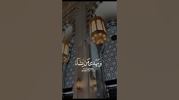 والله يدعوا إلى دار السلام | سورة يونس | القارئ رعد الكردي