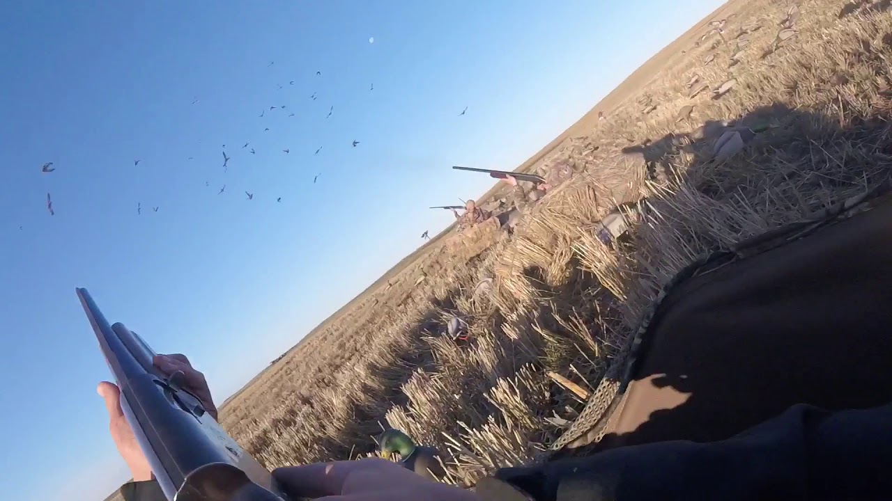 camera iphone 8 plus apk North Dakota 2017 regular season duck hunt “Smacking Quack”