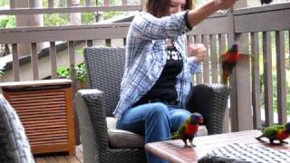 Sydney Accommodation Experience the real Australia