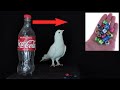 How To Make Pigeon Ring At Home ||