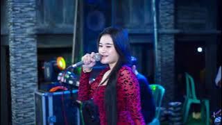 GANG DOLLY NANA BANANA | AMELIA MUSIC HAPPY WEDDING | SUPARMAN & SULASTRI | BM AUDIO