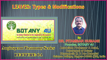 BOTANY 4U | ANGIOSPERM TAXONOMY | PITAMBAR HUMANE | LECTURE-04 | Leaf: Types and Modifications