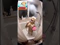 Ref:zpP9hDVag-c Un chat qui chante sous la douche   #cat #shorts #cute