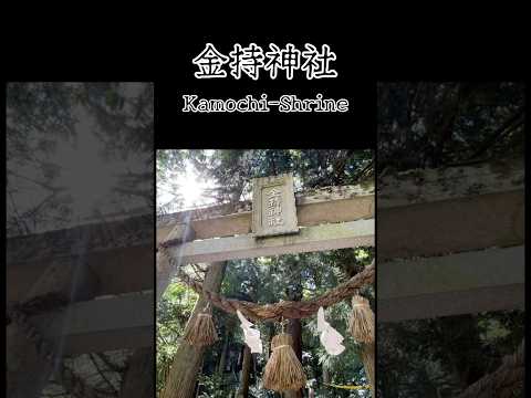 【パワースポット】参拝すると金持ちになれると噂の神社!【金持神社】