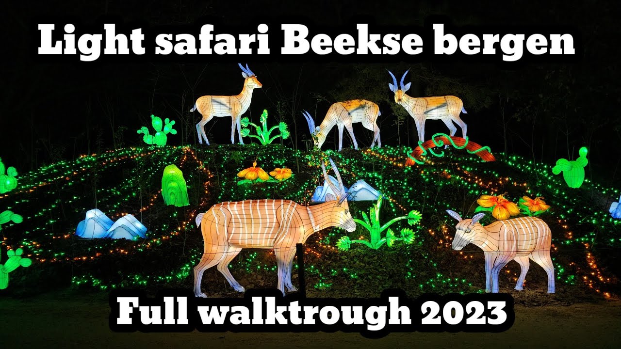 Light Safari In De Beekse Bergen 2023 YouTube Maxresdefault