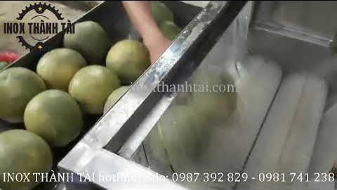 Máy rửa trái bưởi sạch hiệu quả đạt năng suất cao - máy rửa trái cây công nghiệp