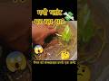 मनी प्लांट के पीले पत्ते और बैक्टीरिया का आसान इलाज 🌱 | पानी में Roots डाल दिए #shorts #garden