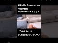 動画お休みのご報告~なかなかソファーから降りられないチビたまを添えて~