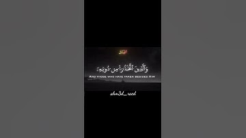 {سورة الزمر}...❤️‍🩹