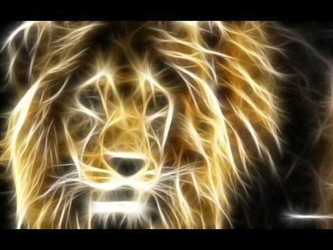 Sander van Doorn   Neon Ummet Ozcan Remix VS Animals Martin GarrixxMashup