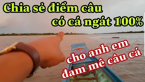 Chia sẻ những điểm câu có cá ngát vựa 100%_cho anh em cần thủ đam mê câu cá