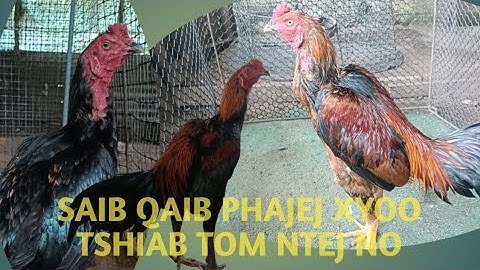 Watch the new year 2026 next time, all friends of FC