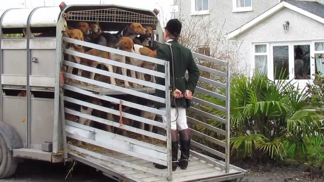 Suir Vale Harriers Hunt Rahaelty Feb 2013
