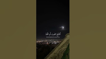 ﴿ افرَأيت الَّذِي كفرَ بآياتِنا ﴾ سوره مريم /القارئ عبدالرحمن مسعد .