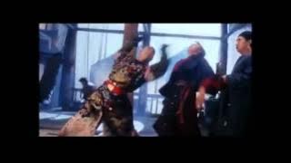 Fong Sai Yuk and his mom, Shadowless Fist