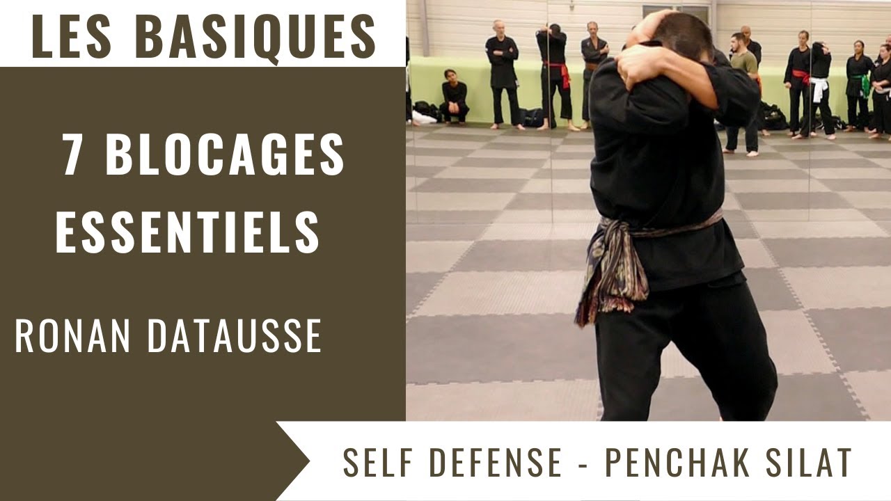 Fondamentaux du Penchak Silat : Bloquer Tous les Coups / Les 7 Défenses de Base (Ronan Datausse)