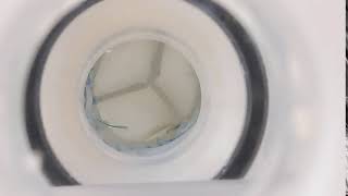 Pulse duplicator testing of the tri-tube heart valve