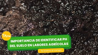 Importancia de identificar PH del suelo en labores agricolas TvAgro por Juan Gonzalo Angel Restrepo