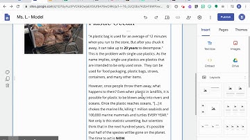 Problem & Solution Paragraphs