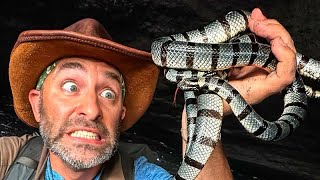 Holding the World's Deadliest Sacred Snake!
