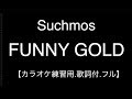 【カラオケ練習用.歌詞付.フル】Suchmos /FUNNY GOLD