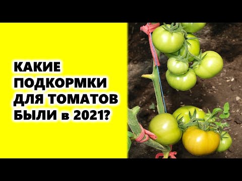 Video: Top dressing di pomodori dopo la semina in serra