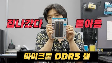 이번에 또 터졌으면 5700자의 욕을 서술하려고 했다가 뻘쭘해진 "마이크론 크루셜 DDR5 램 직구 리뷰" | 용팔이 훈련소
