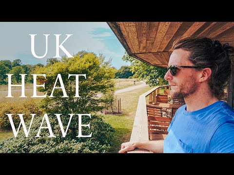 UK Heatwave, A Motorcycle Ride and A Tree Top Walk!