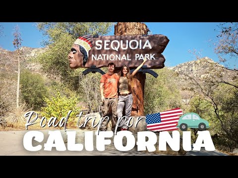 Video: Sequoia National Park Alojamiento: lo que necesita saber