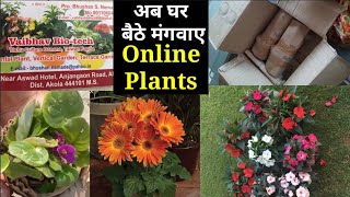 Online Healthy पौधे कहा से मंगवाए || Buy Cheap Price Online Plants In India