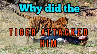 TIGER attacks