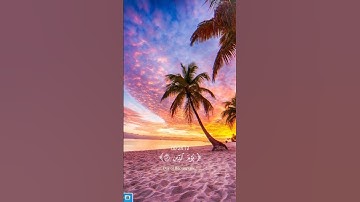 📌 ✨ تلاوة خاشعة تأخذك إلى عالم آخر | استمع بقلبك ✨📌