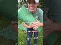 Mixture Grass Mat #shortvideo