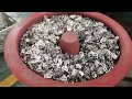 Vibration Deburring Process | Heavy Duty Stainless Steel Ear-Lokt Buckles (OEM/ODM Available)