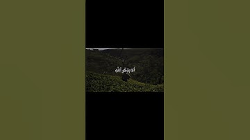 ايات من سورة الرعد بصوت الشيخ محمد صديق المنشاوي | تلاوة خاشعة وهادئه