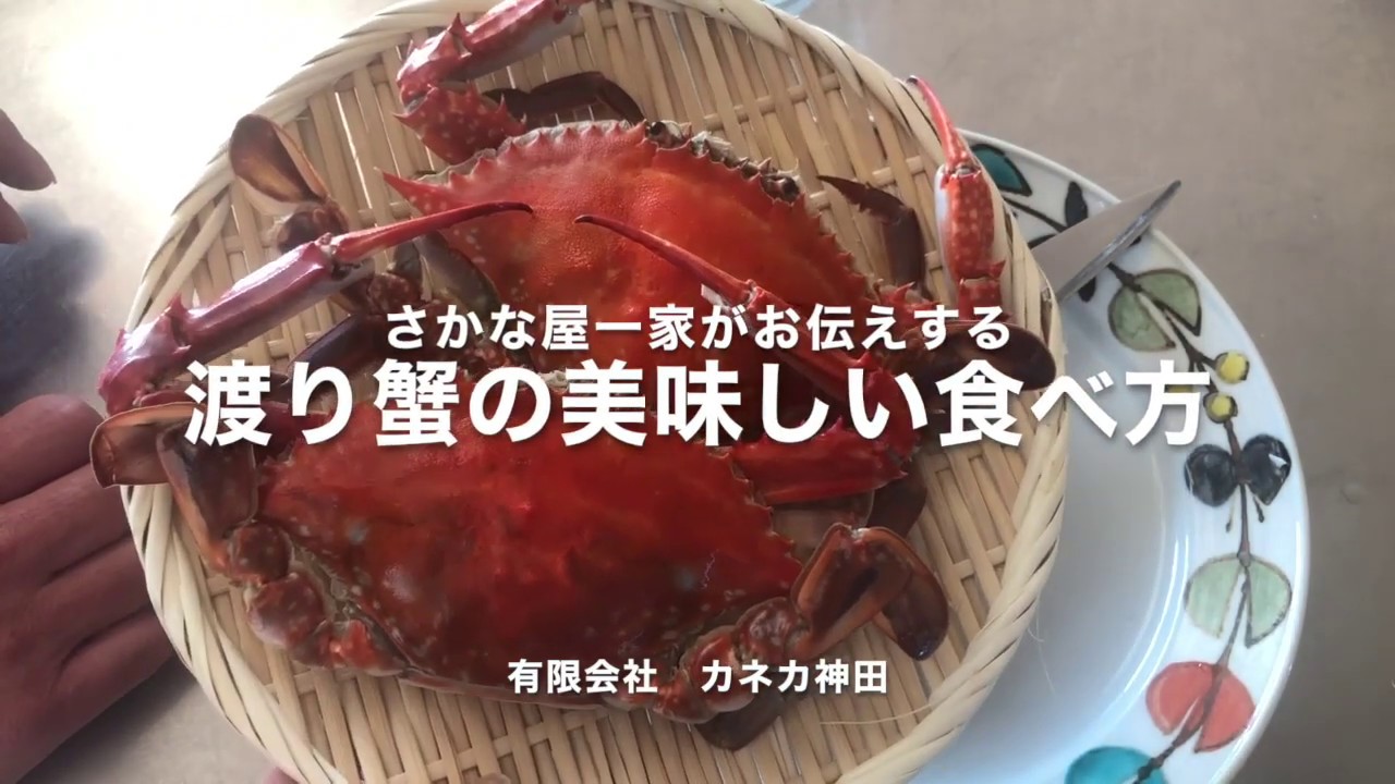 渡り蟹の美味しい食べ方 Youtube