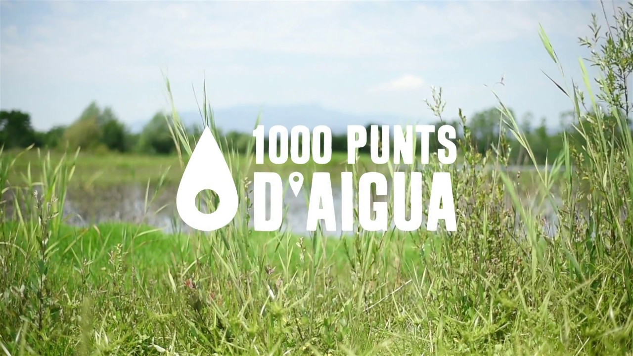 Resultat d'imatges de 1000 PUNTS D'AIGUA