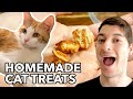 Easy Homemade Cat Treats (2 Ingredient)!!
