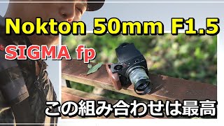 SIGMA fp / Nokton 50mm F1.5 & X-T5 Wild Birds - YouTube