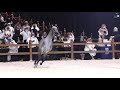 فوز البطل ماجد الرونق بالمركز الثاني في بطولة كحيلة ٢٠٢١ 😍🐎