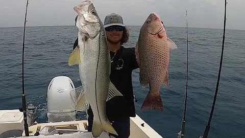 SLAYING snook, snappers and GIANT COBIA all at once!!! (Live bait fishing)