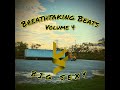 Soul of a Warrior - Breathtaking Beats Vol. 4 - Track 6