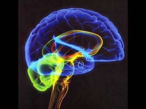 Vídeo: Encontró Un Nuevo Misterio Del Cerebro Humano - Vista Alternativa