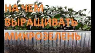 #экочервь Секреты выращивания микрозелени. На чем выращивать микрозелень. Субстраты для микрозелени.