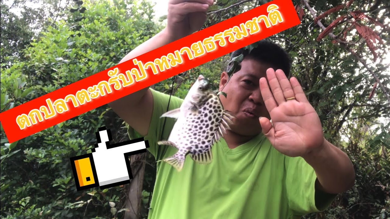 ตกปลาตะกรับ/ปลาขี้ตัง ป่าริมคลองธรรมชาติข้างทาง