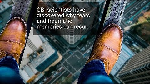 Why traumatic memories can return after being 