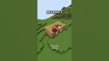 DO NOT CLICK THE SOUND😭🙏 #server #minecraft #smp #litsl